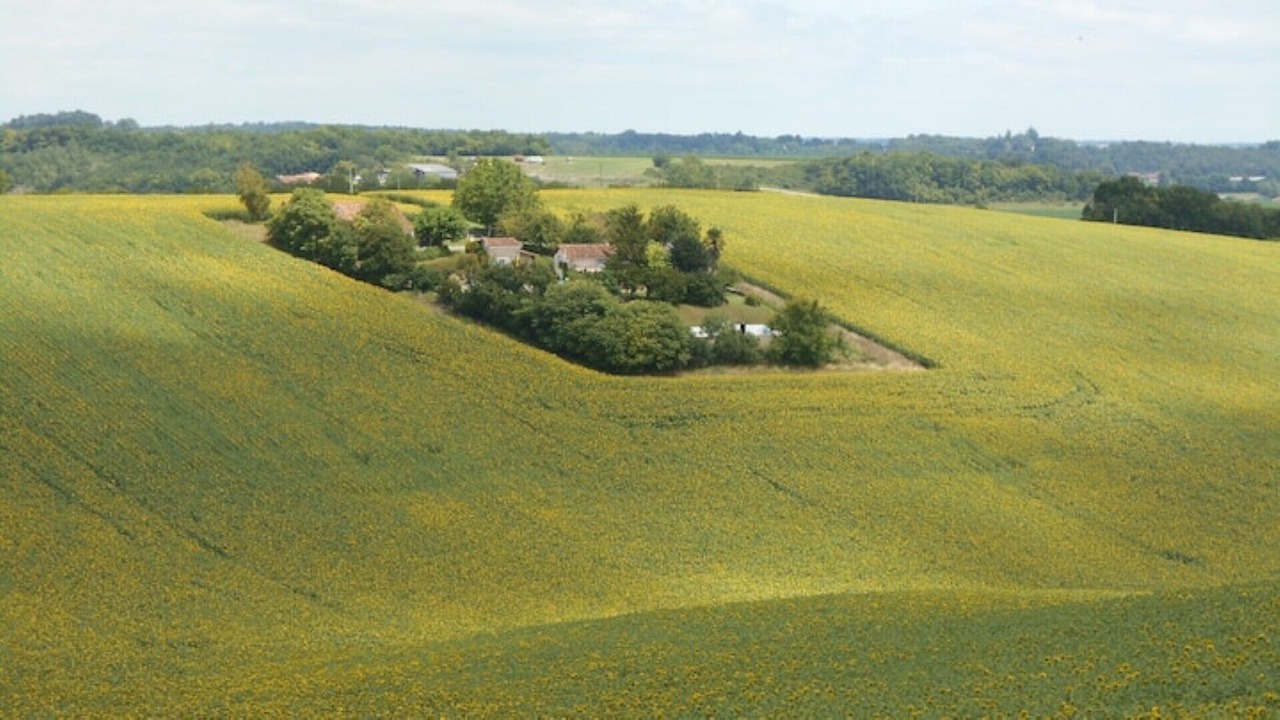 Photo of Others in Nanteuil-de-Bourzac