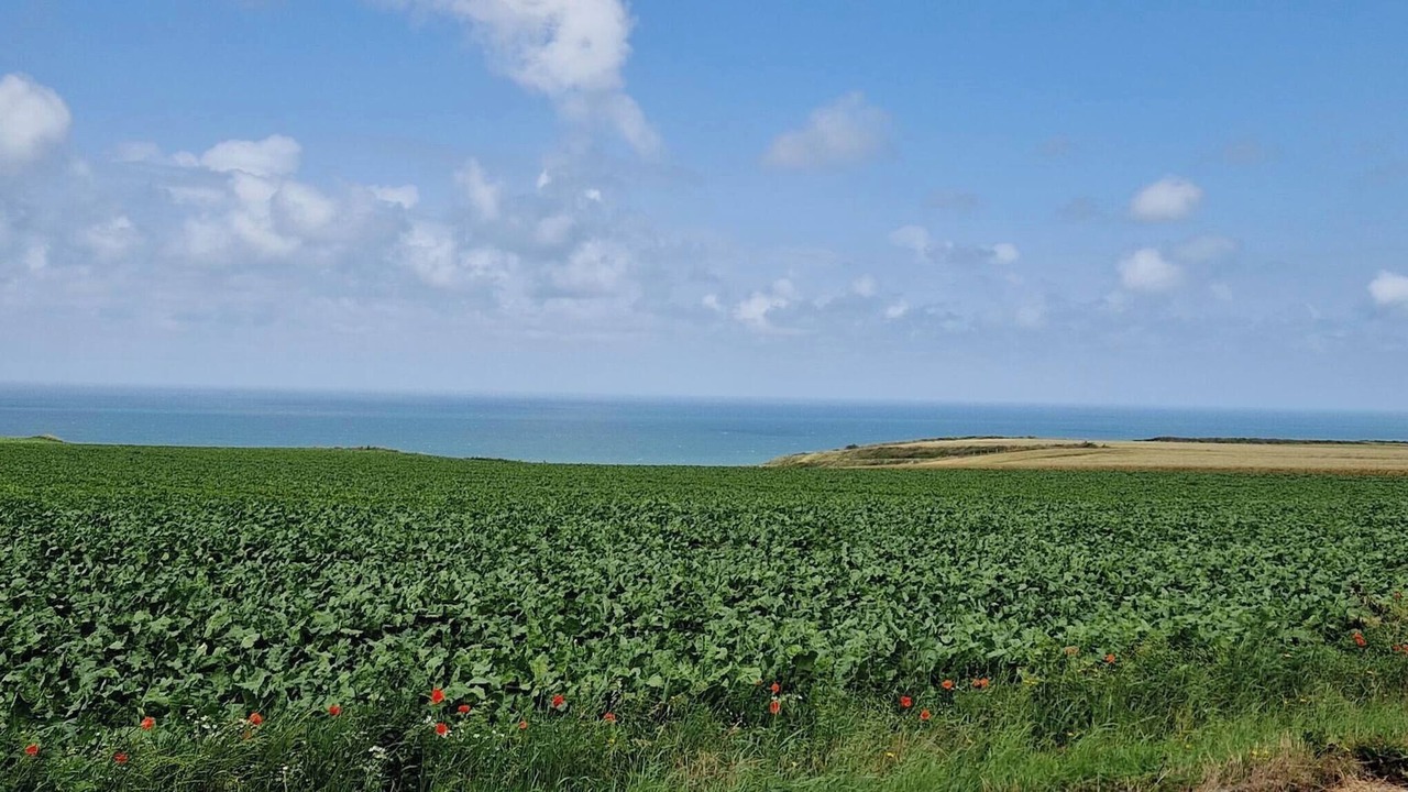 Photo of Others in Belleville-sur-Mer