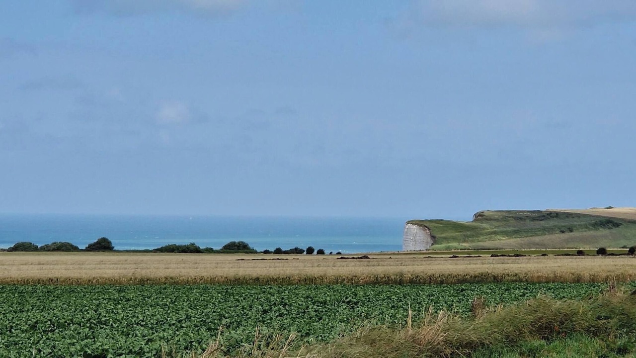 Photo of Others in Belleville-sur-Mer