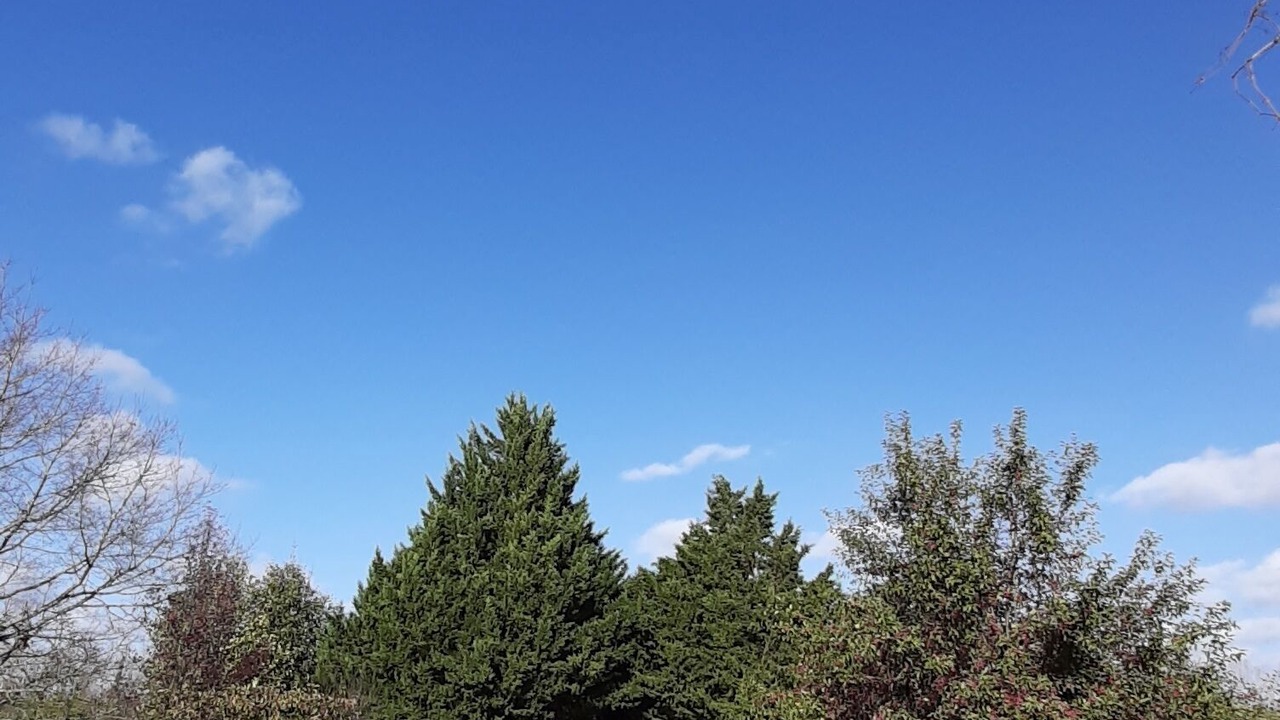 Photo of Outdoor in Gy-les-Nonains