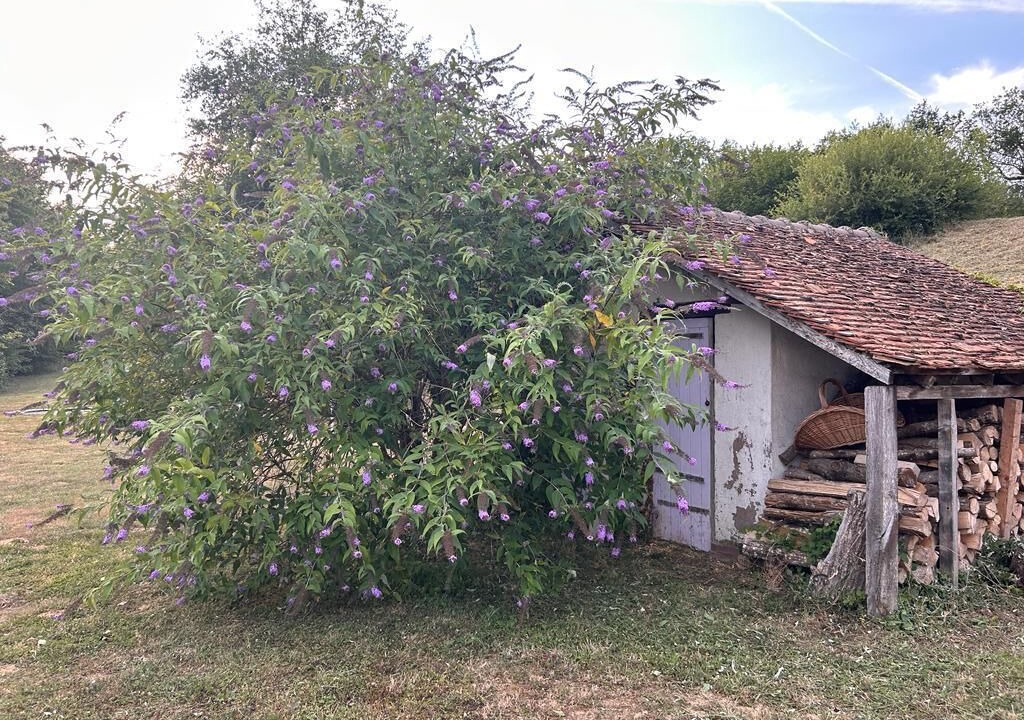 Photo of Outdoor in Saint-Amand-en-Puisaye