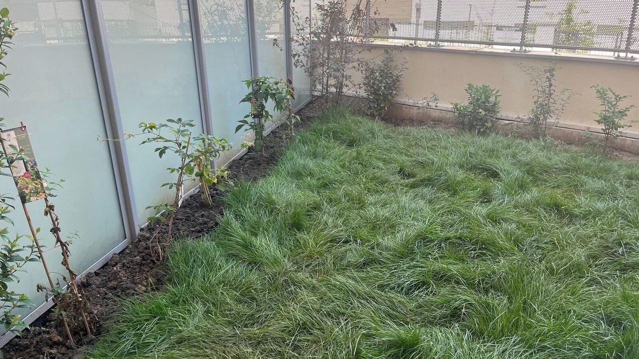 Photo of Outdoor in Noisy-le-Sec