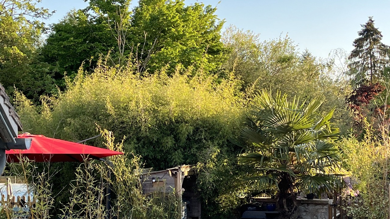 Photo of Outdoor in Breuilpont