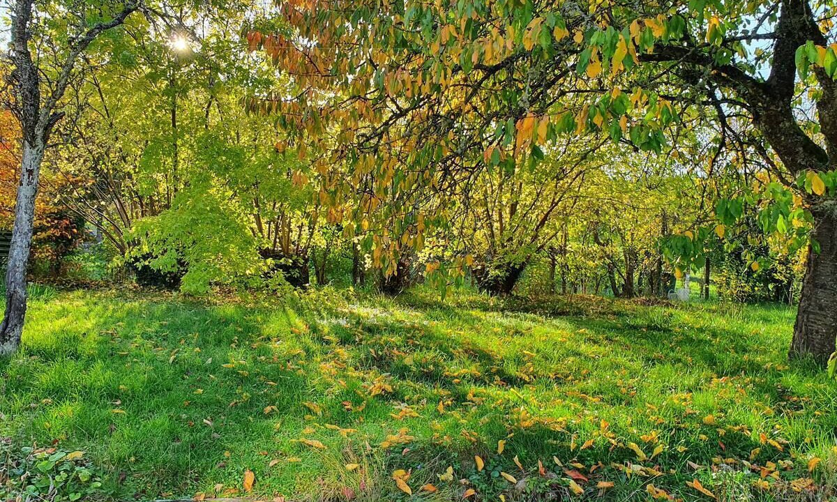 Photo of Outdoor in Malain