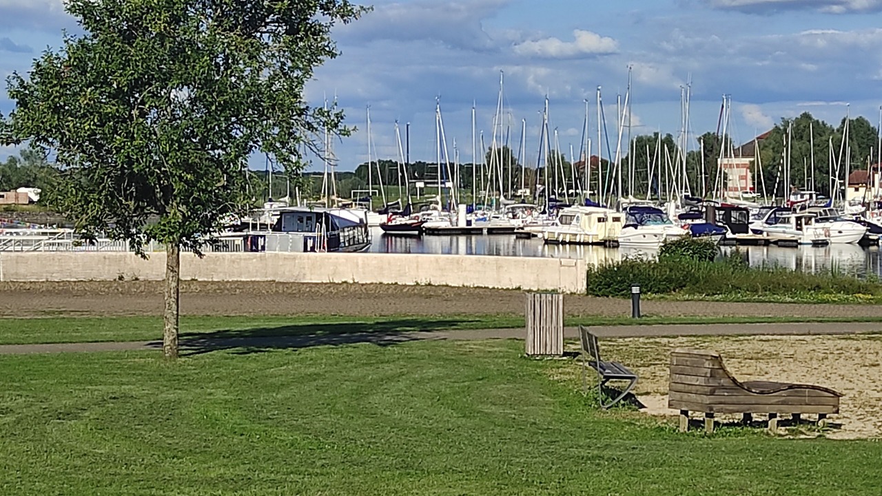 Photo of Others in Montier-en-Der