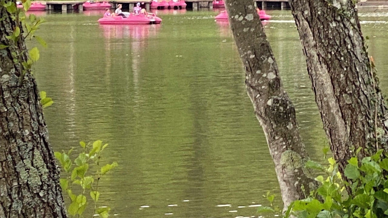 Photo of Outdoor in Saint-Evroult-Notre-Dame-du-Bois
