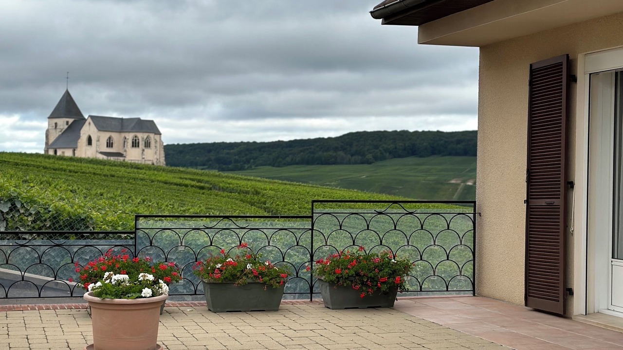 Photo of Outdoor in Chavot-Courcourt