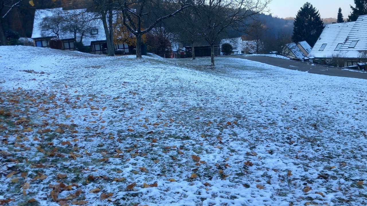 Photo of Outdoor in Lembach