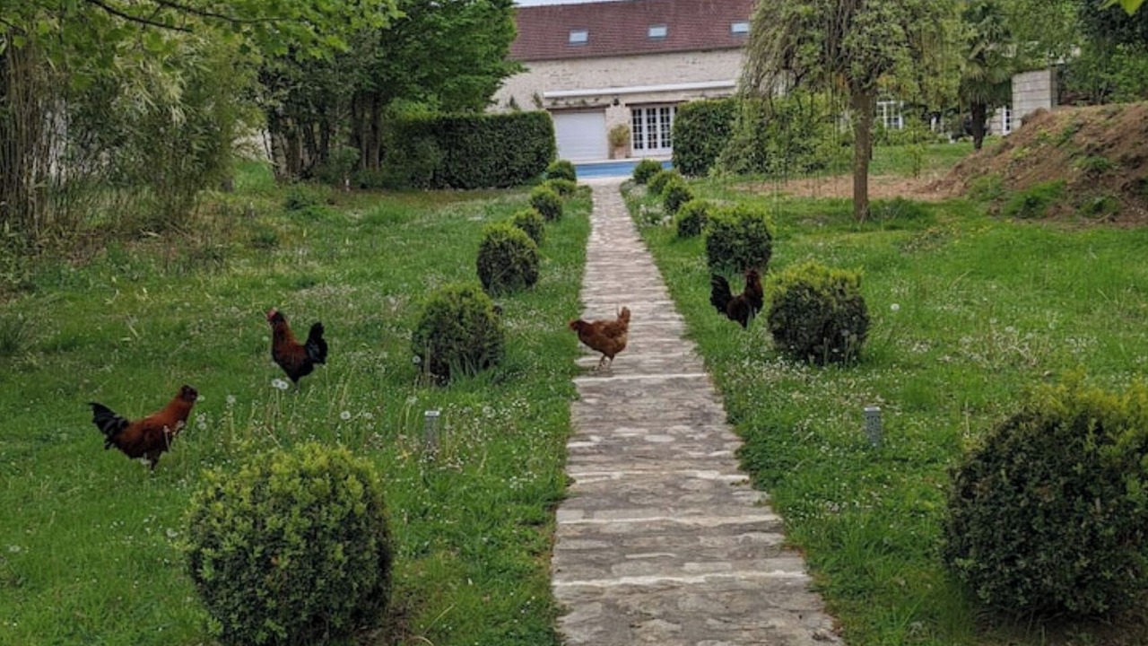 Photo of Outdoor in La Chapelle la Reine