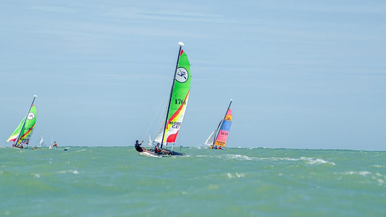 Photo of Others in Oye-Plage