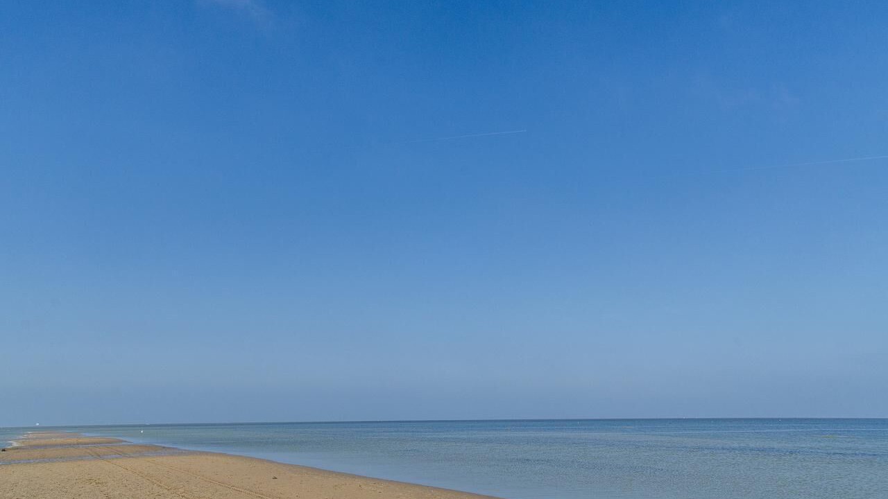 Photo of Others in Oye-Plage