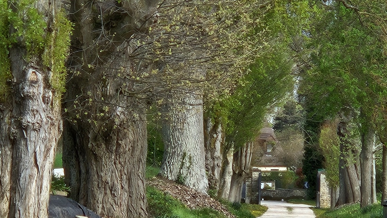 Photo of Others in Hargeville