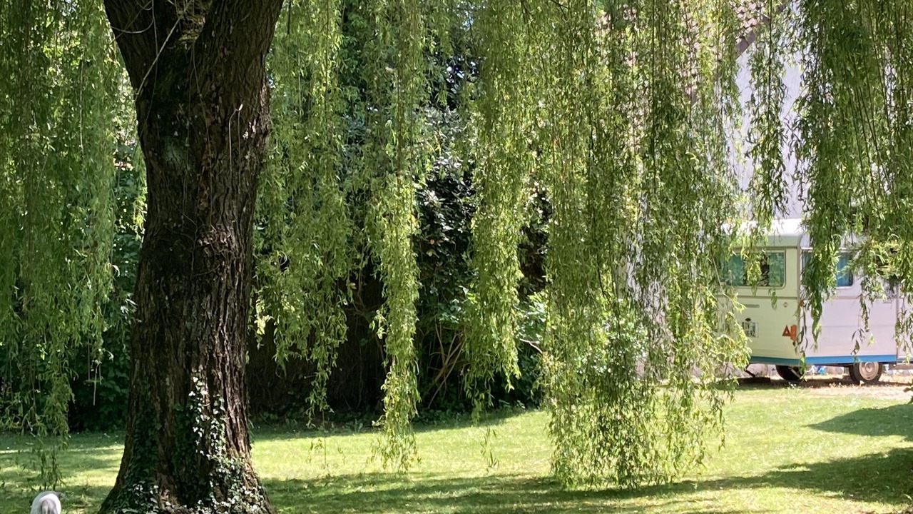Photo of Outdoor in Saint-Remy-l'Honore