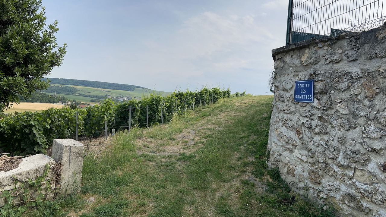 Photo of Outdoor in Chatillon-sur-Marne