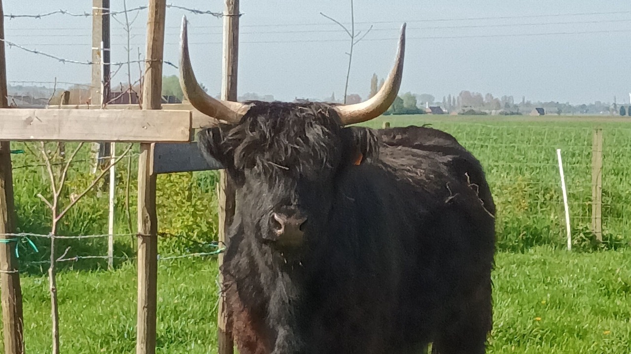 Photo of Outdoor in Herzeele