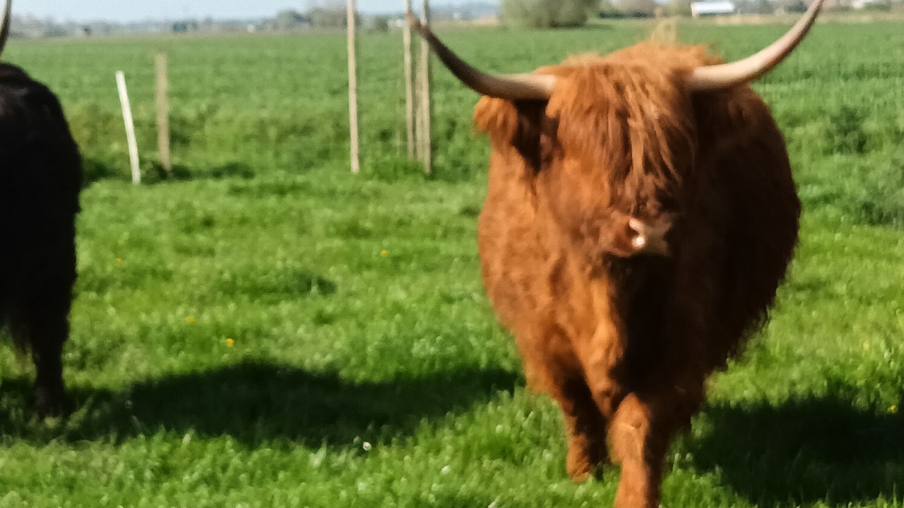 Photo of Others in Herzeele