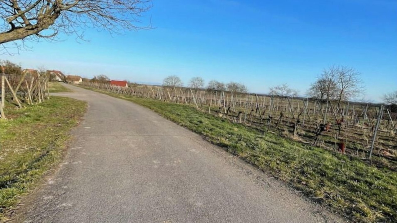 Photo of Others in Bourgheim
