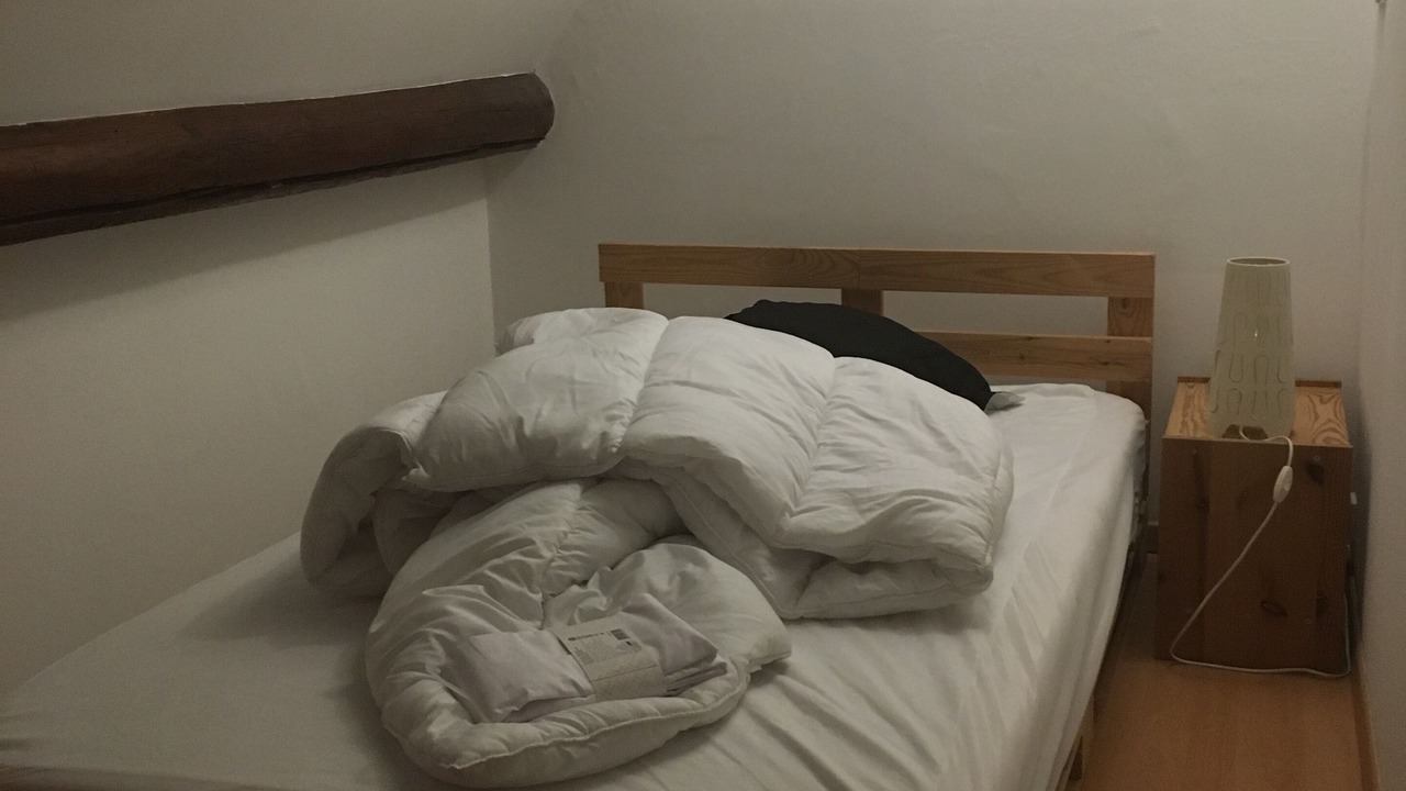 Photo of Bedroom in Dourdan