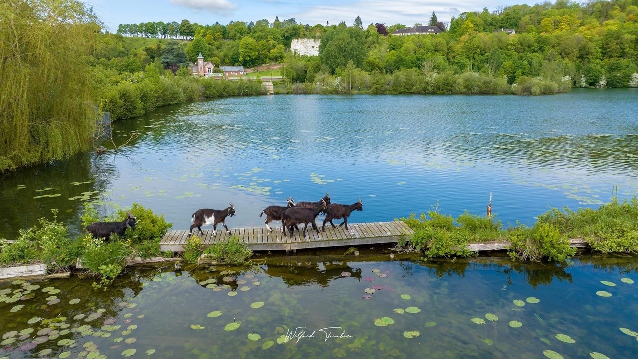 Photo of Outdoor in Corbie