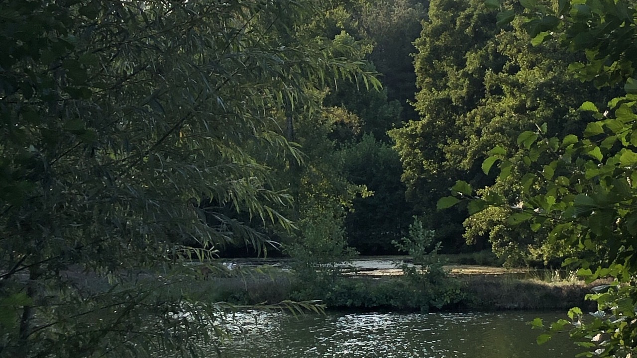 Photo of Outdoor in Fromentieres