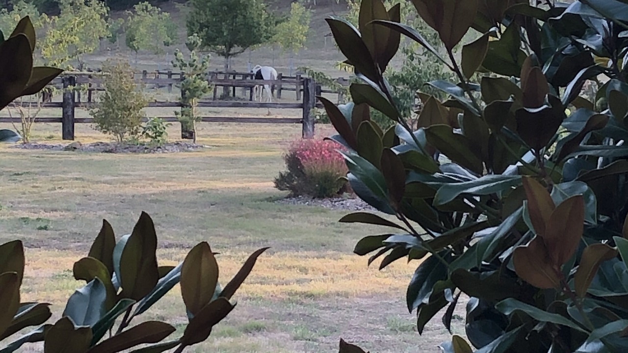 Photo of Outdoor in Fromentieres