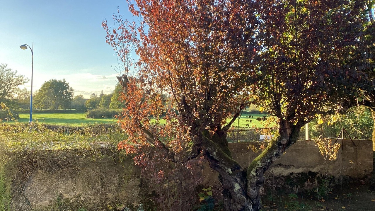 Photo of Outdoor in Le Veurdre