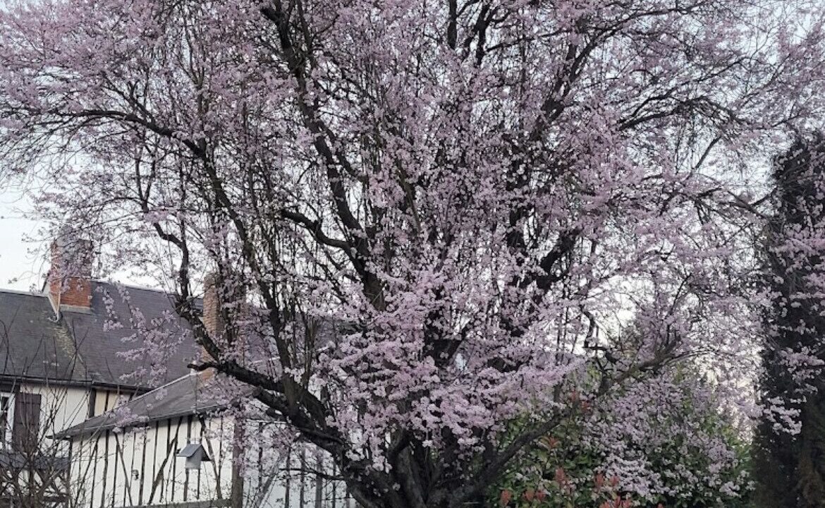 Photo of Outdoor in Blicourt