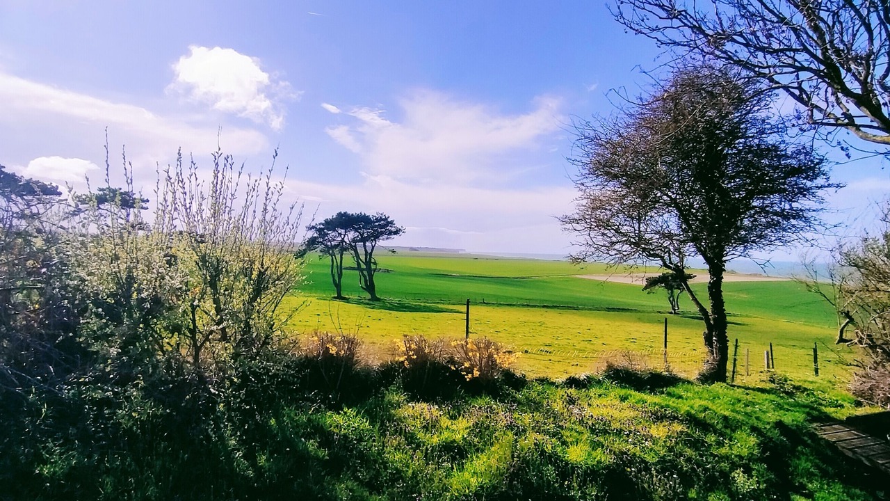 Photo of Others in Quiberville