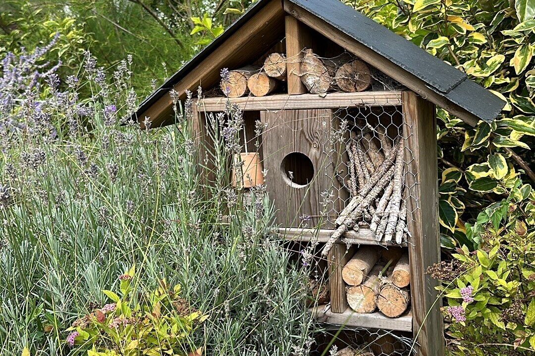 Photo of Outdoor in Forest-l'Abbaye
