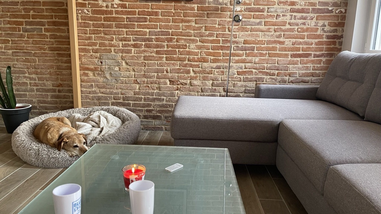 Photo of Livingroom in Le Heron