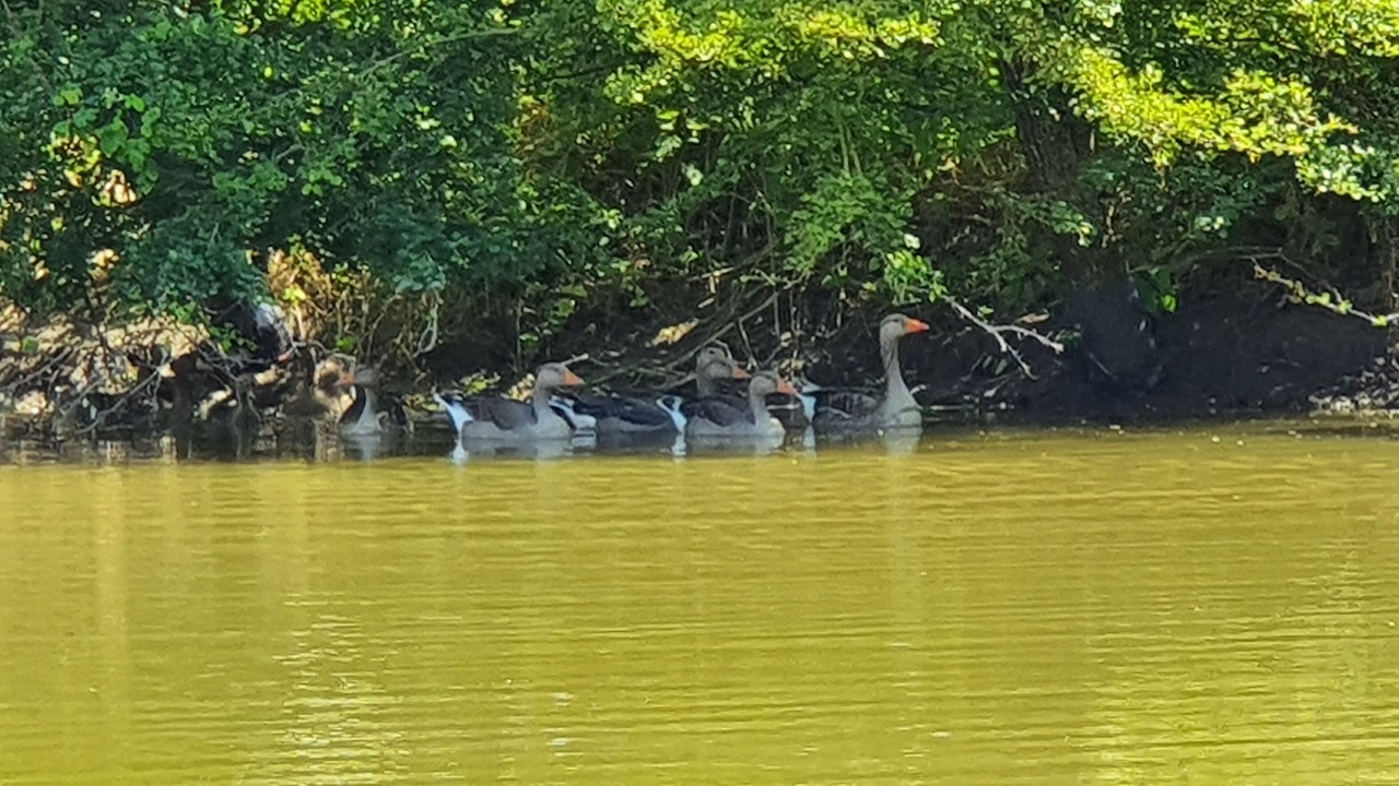 Photo of Outdoor in Saigneville