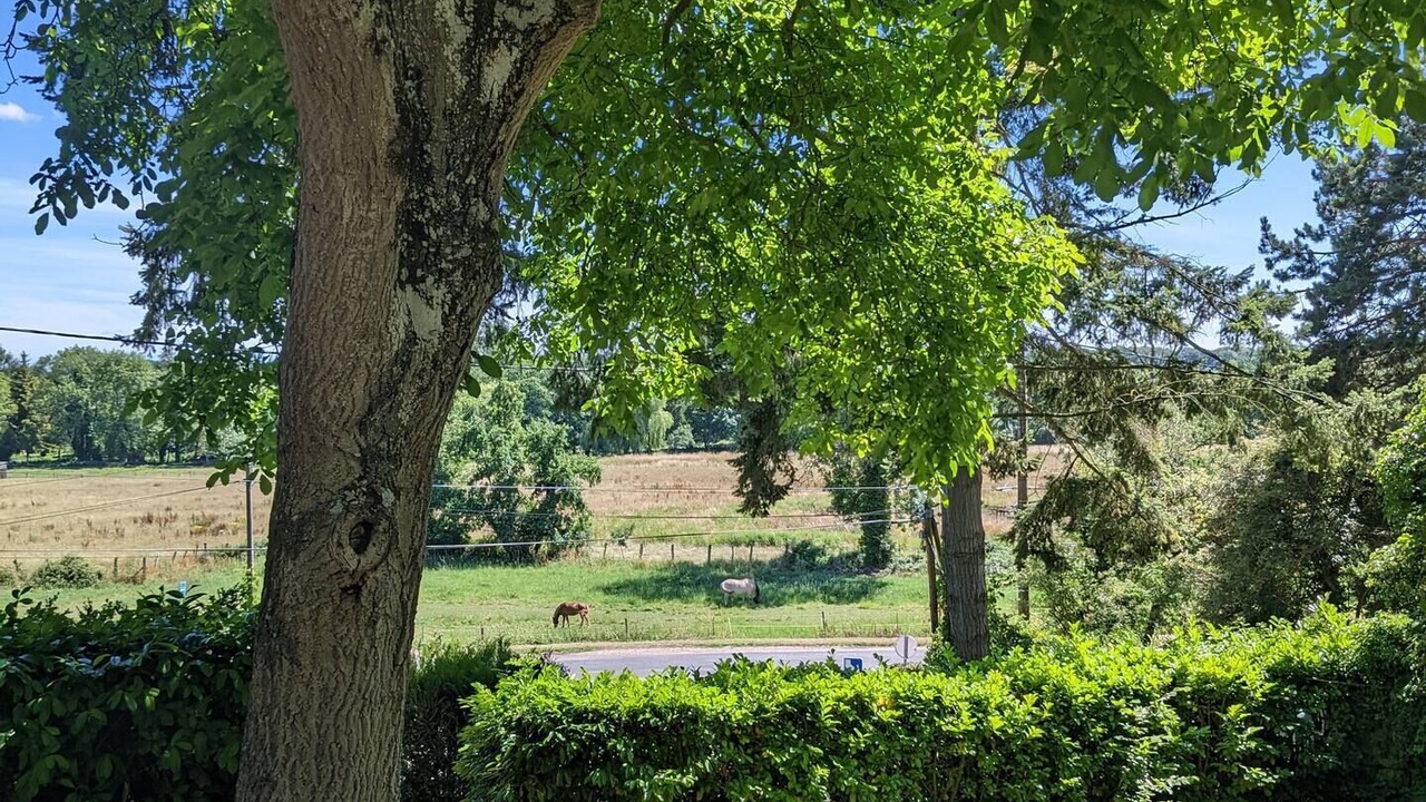 Photo of Outdoor in Mesnil-sur-l'Estree