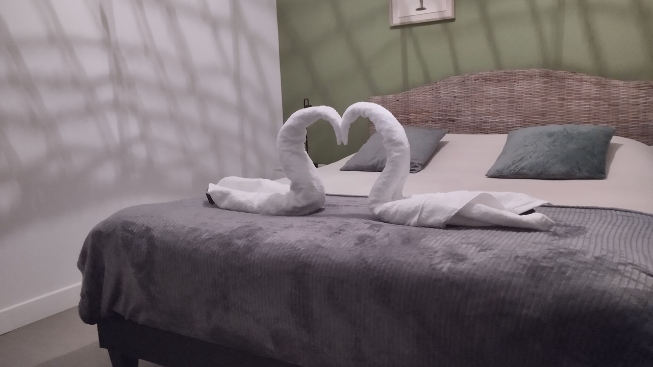 Photo of Bedroom in Gare