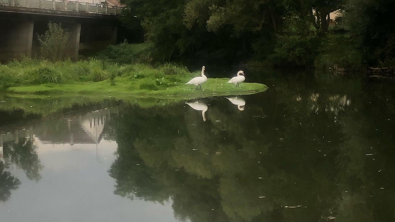Photo of Others in Pulligny