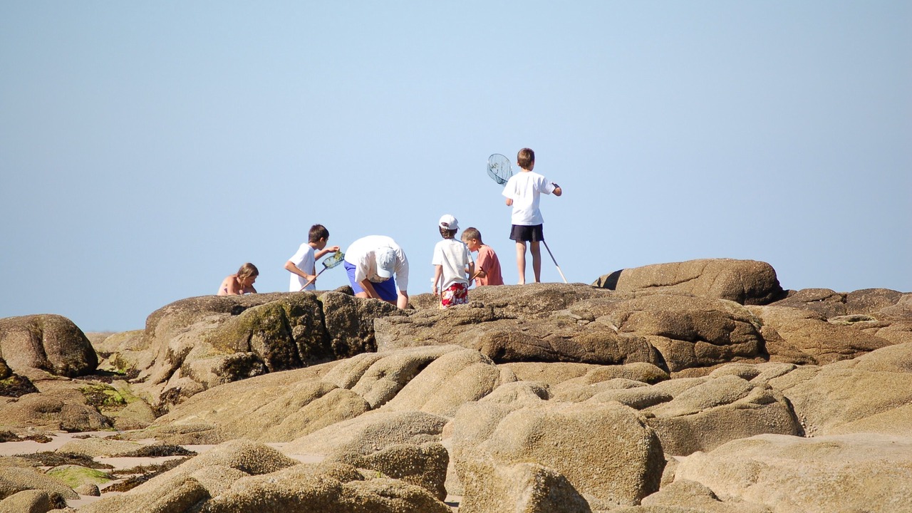 Photo of Others in Anneville-en-Saire