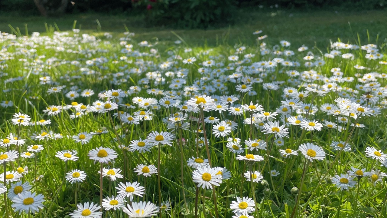 Photo of Outdoor in Bruley