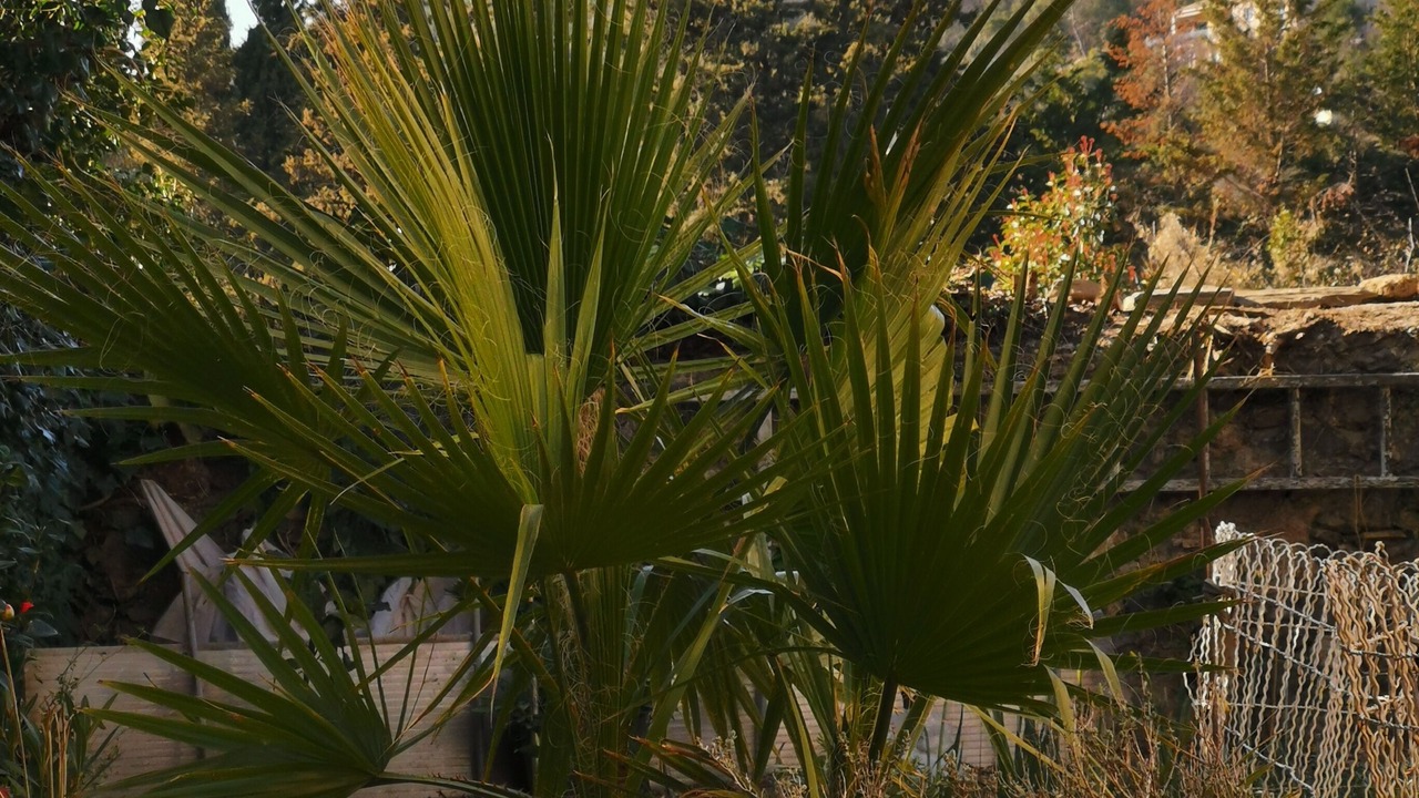 Photo of Outdoor in Cabrieres