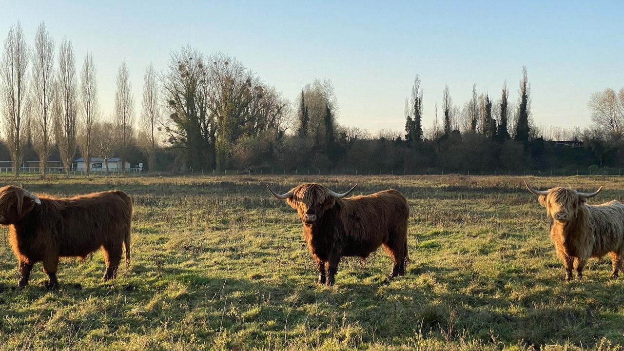 Photo of Outdoor in Grand-Laviers