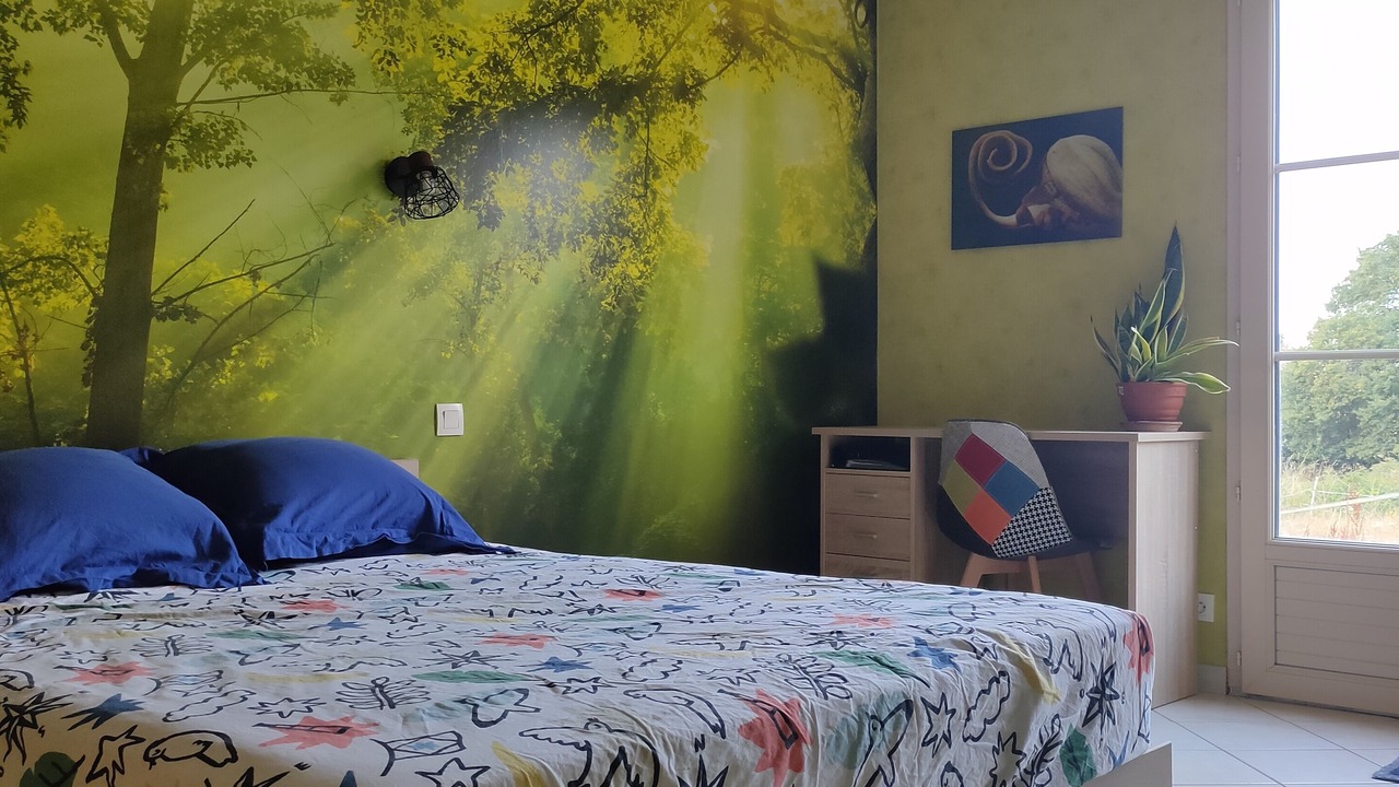 Photo of Bedroom in Sarge-sur-Braye