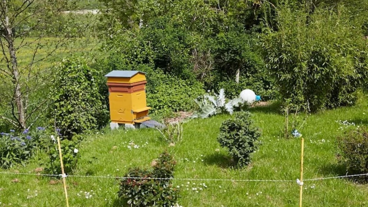 Photo of Outdoor in Cuverville-sur-Yeres