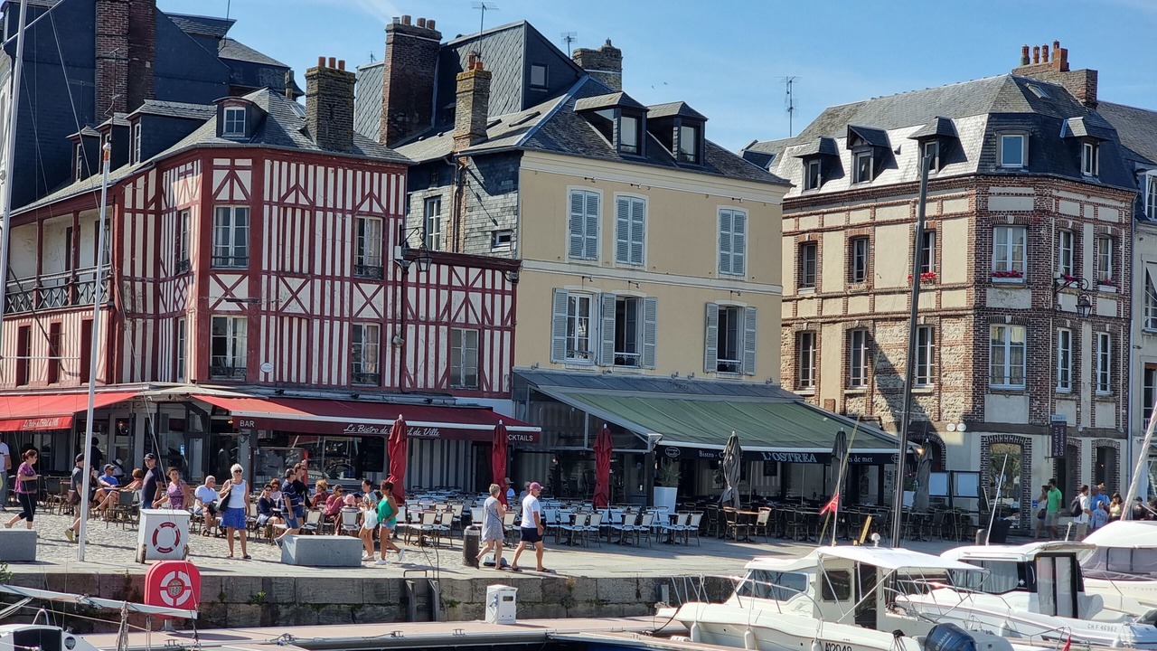 Photo of Others in Enclos