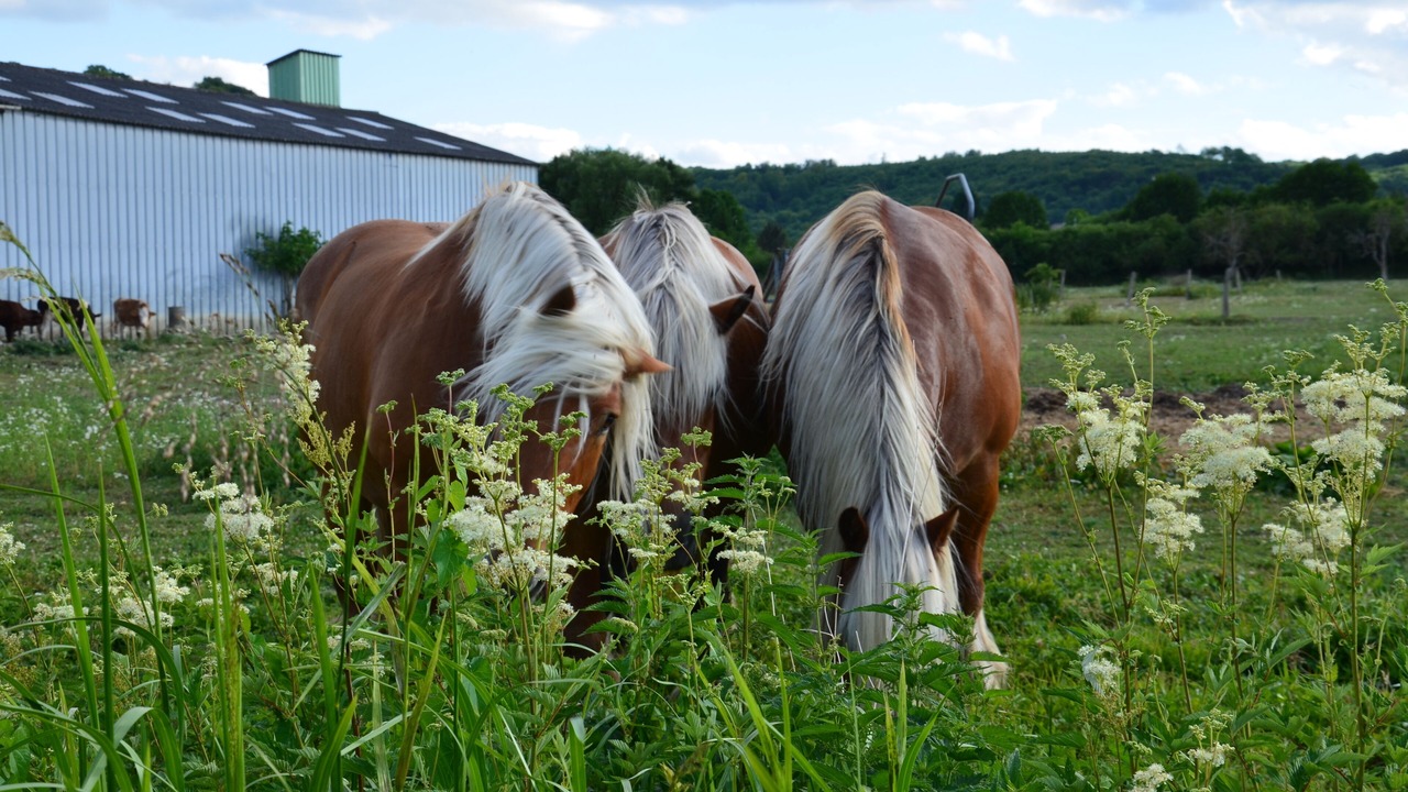 Photo of Outdoor in Chatillon-sous-les-Cotes