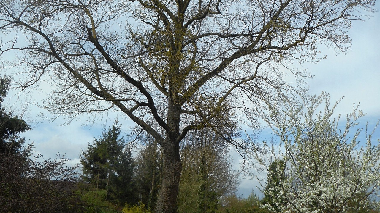 Photo of Others in Saint-Amand-sur-Fion