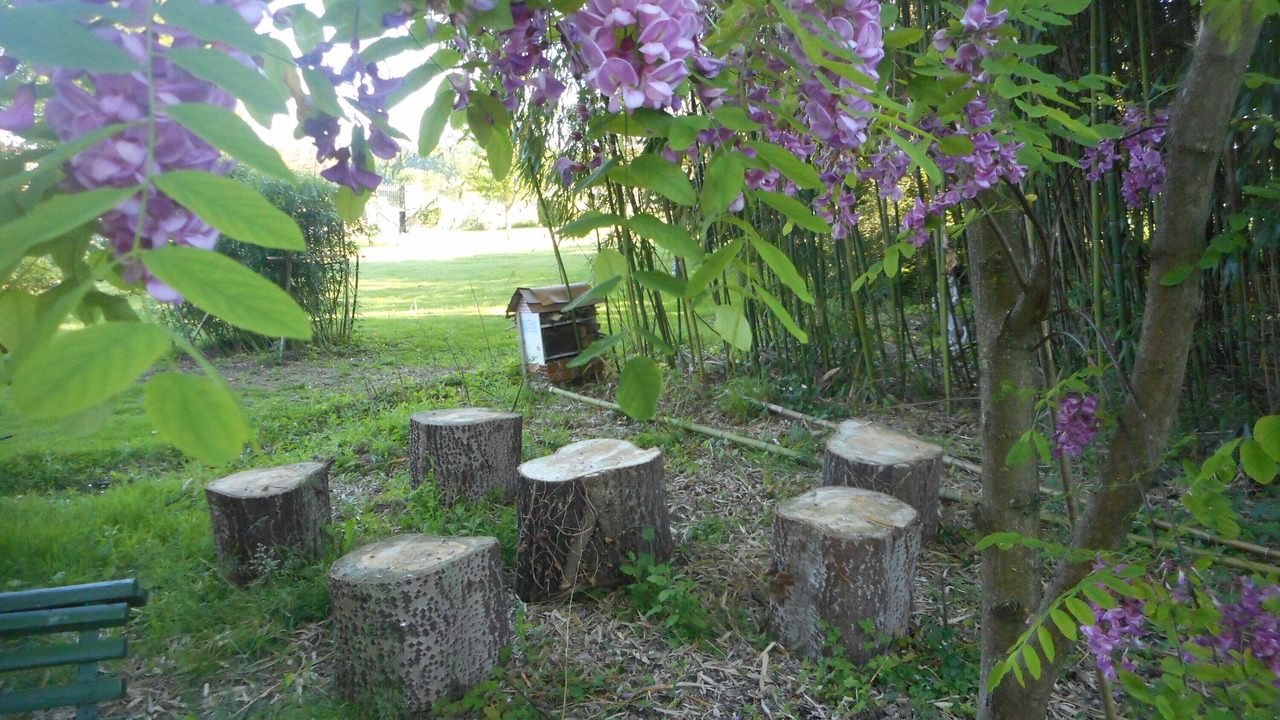 Photo of Outdoor in Saint-Amand-sur-Fion