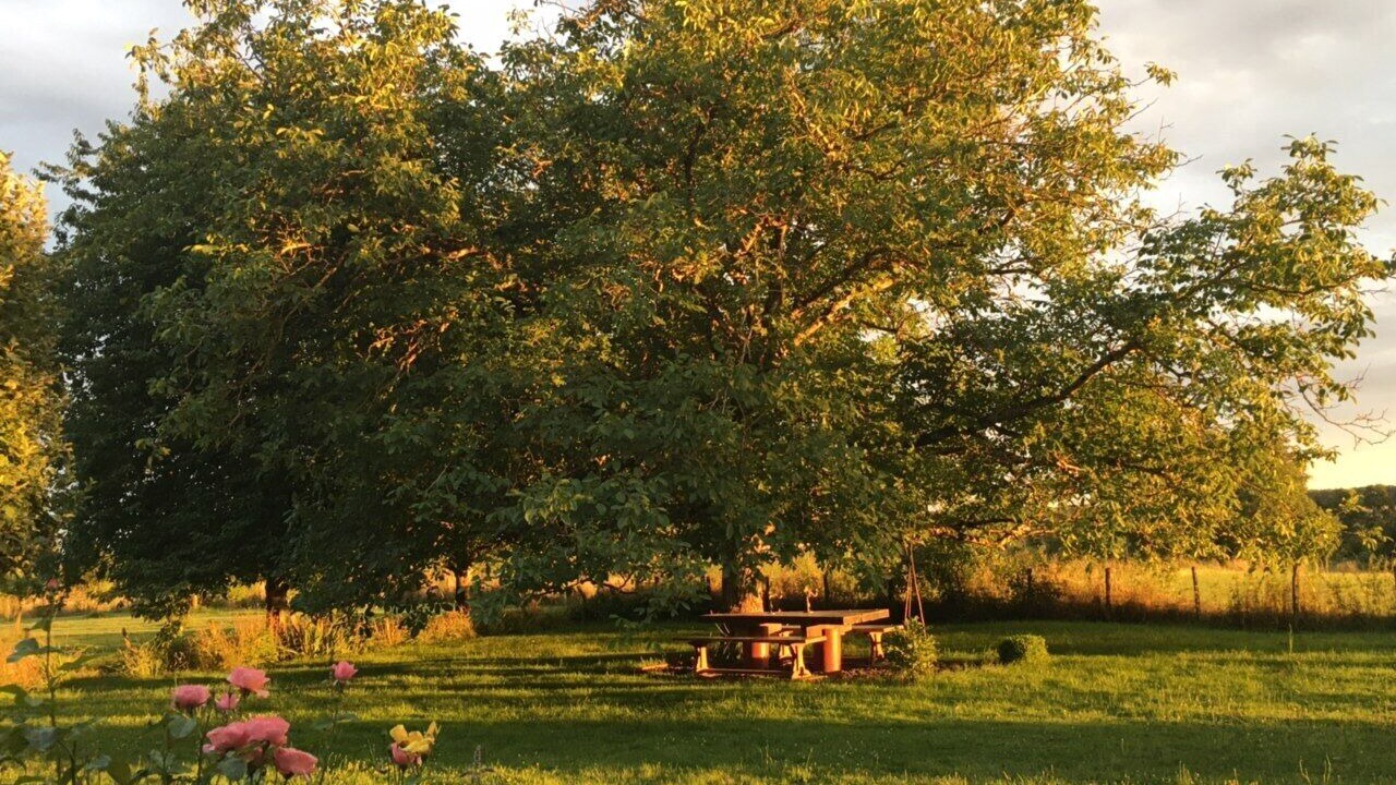 Photo of Outdoor in Allerey-sur-Saone