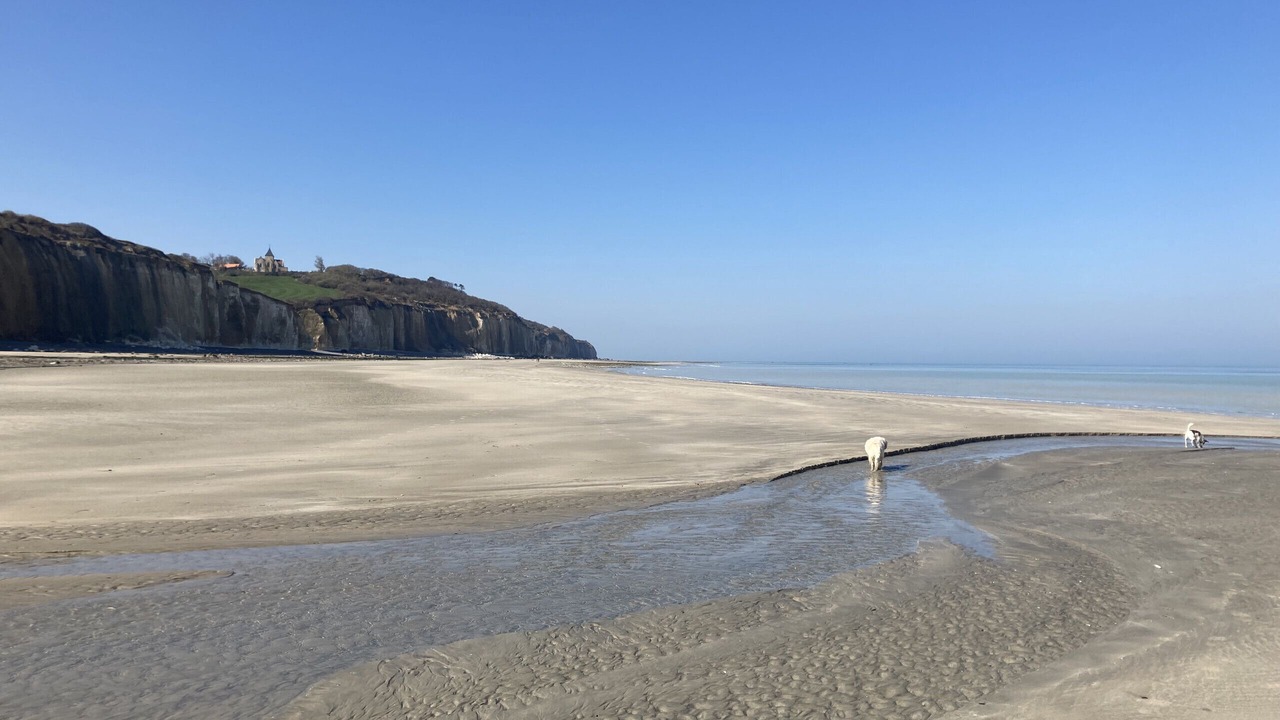 Photo of Others in Varengeville-sur-Mer