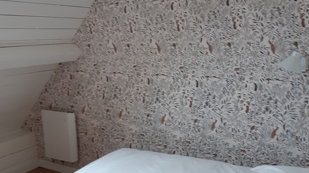 Photo of Bedroom in Audinghen