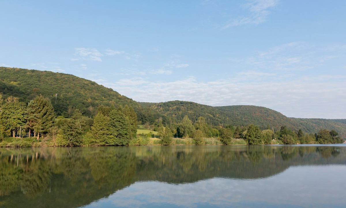 Photo of Others in Vireux-Wallerand