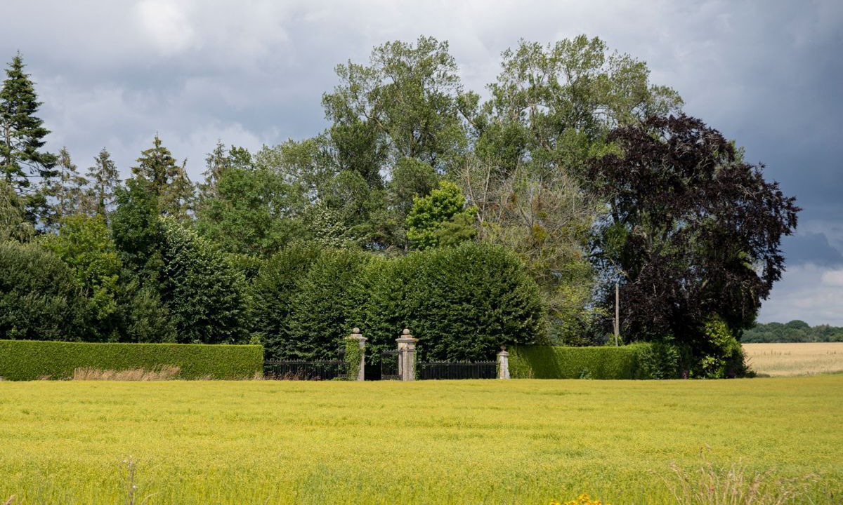 Photo of Others in Flancourt-Crescy-en-Roumois