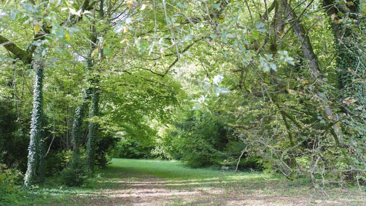 Photo of Outdoor in Omey